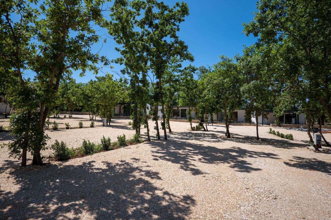 Dionis Camping Zaton Zaton  Exterior photo